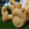Opblaasbare baby / geboortepop te huur in Ruinerwold bij Berend Verhuur